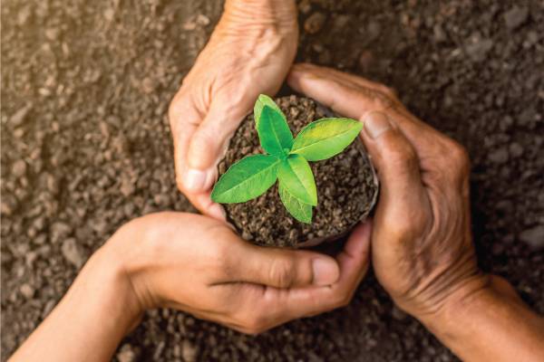 Investent Philosophy